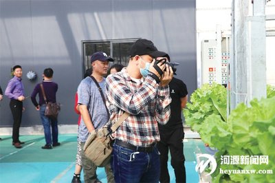 全省文藝業務骨干赴河源采風 感悟鄉村人文與生態之美